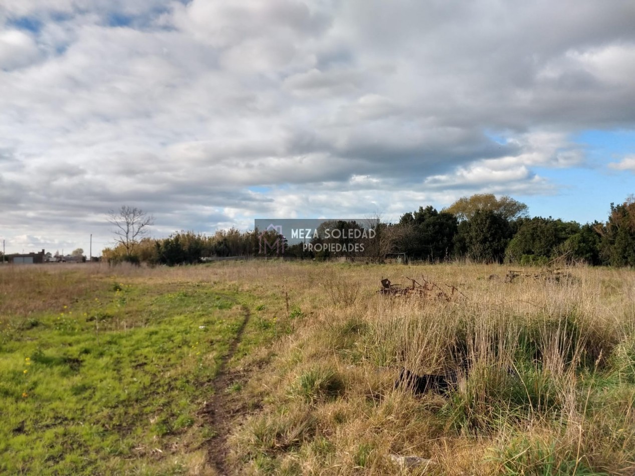 VENTA CASA Y 3 HECTAREAS 